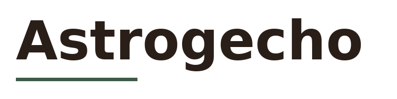 Astrogecho logo